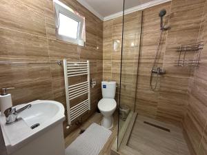 een badkamer met een toilet, een wastafel en een douche bij Casa Antonia in Chişcău