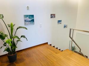 萨格里什Casa da Bélgica的相册照片