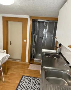 a kitchen with a stainless steel sink and a shower at Bom descanso in Ennenda