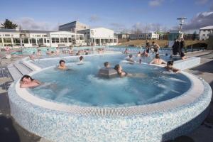 un grupo de personas en una piscina en STUDIO AURORA, en Reikiavik
