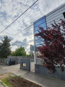 a glass building with a tree in front of it at Aqua apartman satu mare in Satu Mare