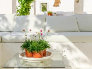 a flower pot on a glass table with a plant at Ideal Rooms in Porto Cesareo