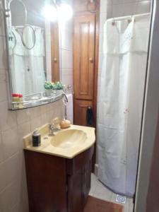 a bathroom with a sink and a shower at Norma in Tandil