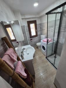 ein Bad mit einer Dusche, einem Waschbecken und einem WC in der Unterkunft CASA BAT in Mantello