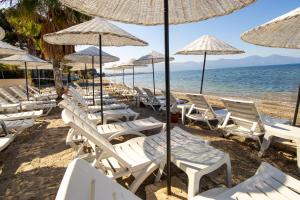 クシャダスにあるSCALA NUOVA BEACH HOTELの浜辺の椅子・傘