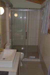 a bathroom with a shower and a sink and a toilet at Kouklospito Agios Polykarpos in Raches