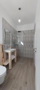 ein Bad mit einer Dusche, einem Waschbecken und einem WC in der Unterkunft Cristelyn Residence in Predeluţ