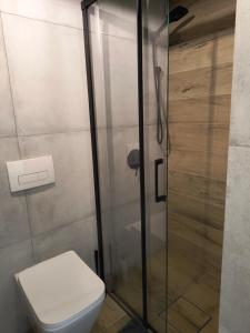 a bathroom with a toilet and a glass shower at Zielnisko in Firlej