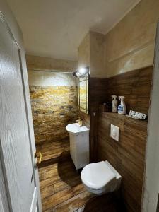 a bathroom with a toilet and a sink at Rosa Apartment in Drobeta-Turnu Severin