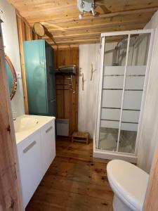 y baño con aseo, lavabo y espejo. en SOCOA LE CABANON en Lacanau