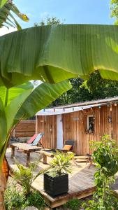a wooden deck with lounge chairs and a building at SOCOA LE CABANON in Lacanau +9 photos