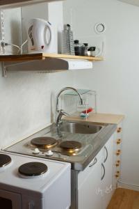 uma pequena cozinha com um lavatório e um fogão em Katterjokk Turiststation em Riksgränsen