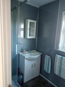 uma casa de banho com um lavatório e uma cabina de duche em vidro. em Chalet at California Sands em Scratby