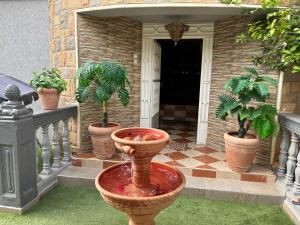 メクネスにあるDar el kebiraの鉢植え三本の鉢植えの花瓶