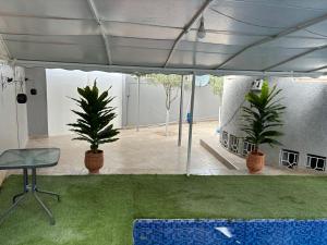 メクネスにあるDar el kebiraの鉢植えの植物2本とテントの下の椅子が備わるお部屋