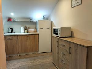 a kitchen with a refrigerator and a microwave at Apartament TARA in Solina