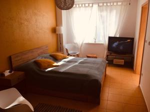 a bedroom with a bed and a tv and a window at Apartmán Corvin in Veľký Meder