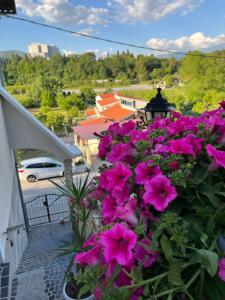 un ramo de flores rosas en un balcón en LaCasaBonita en Mostar