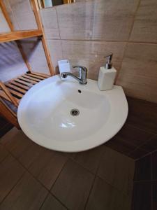 - un lavabo dans la salle de bains avec un distributeur de savon dans l'établissement Chalupa Kocourov, à Slavíkov