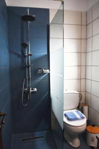 ein blaues Bad mit einem WC und einer Dusche in der Unterkunft Evan's Suite in Glífa