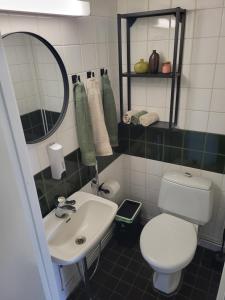 uma casa de banho com um WC branco e um lavatório. em Ellivuori Resort Paradise em Sastamala
