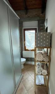 a bathroom with a toilet and a shower and towels at Palazzo Mane in CastellʼArquato