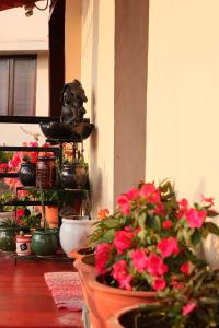 AvathiにあるTottilu Homestayのポーチに置かれた鉢植えの植物と彫像