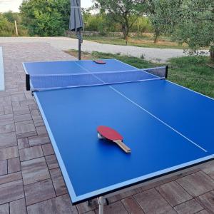una mesa de ping pong azul con una paleta de ping pong en Božini dvori, en Drniš