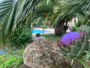 a garden with a rock and palm trees and a pool at Le Chêne in Névez