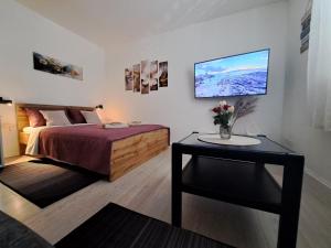 Hrvatska, MLINI, Apartman Studio Nicky