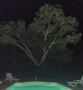 Gallery image of Tarola Place, a unique country house! in São Cristóvão