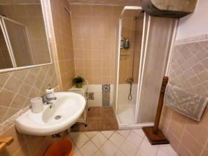 een badkamer met een wastafel en een douche bij B&B Casa Fei in Signa