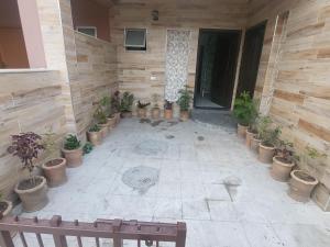 um pátio com um monte de vasos de plantas em Balqees Cottage em Lahore