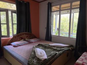 1 dormitorio con 1 cama con 2 almohadas y 2 ventanas en Hotel Chachoo Palace en Srinagar