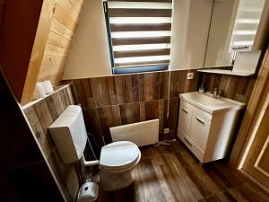 La petite salle de bains est pourvue de toilettes et d'un lavabo. dans l'établissement Microcastl, à Vlašić