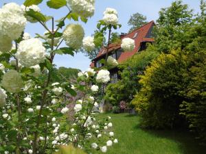 un jardín con flores blancas frente a una casa en Villa-Bajka, en Wisła