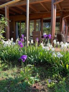 Zahrada ubytování Chalet Mimosa