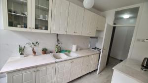 Kuchyň nebo kuchyňský kout v ubytování Apartment Zvezdara