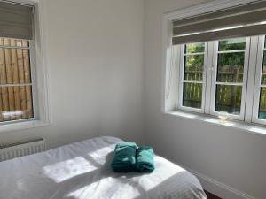 Cunningham في نوتينغهام: نعال اخضر جالسين على سرير في غرفة مع نوافذ
