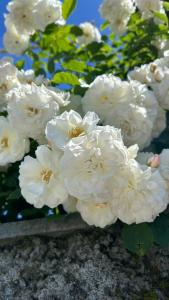 Giardino di Ludwig Guesthouse