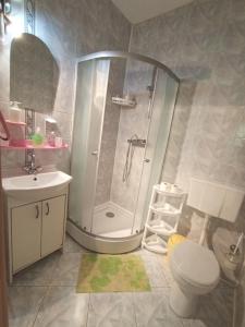 a bathroom with a shower and a toilet and a sink at Zajazd Mieszko in Opole