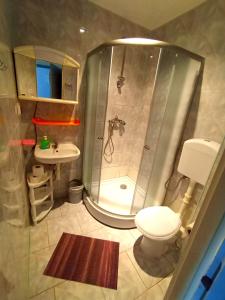 a bathroom with a shower and a toilet and a sink at Zajazd Mieszko in Opole