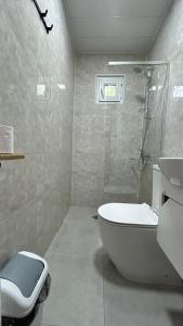 uma casa de banho com um chuveiro, um WC e uma banheira em Ludwig Guesthouse em Lagodekhi