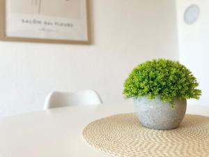 Zdjęcie z galerii obiektu Apartments Contessa w mieście Novigrad