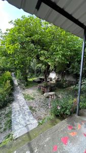 Giardino di Ludwig Guesthouse