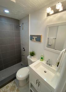 uma casa de banho com um WC branco e um lavatório. em Miami Beach Rooms B&B em Miami Beach