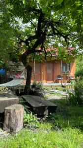 Giardino di Ludwig Guesthouse