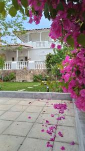 a bunch of pink flowers on the ground in front of a house at kavouraki 1 in Khlóï