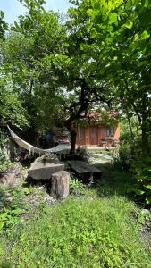 Giardino di Ludwig Guesthouse