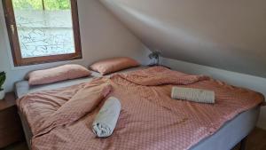 Voodi või voodid majutusasutuse Apartma Zala-Terme Čatež toas